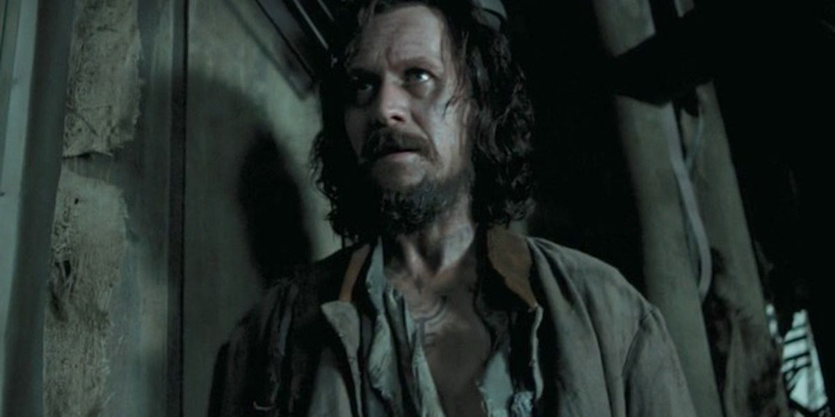 Sirius Black appare scarmigliato ma severo in Harry Potter.