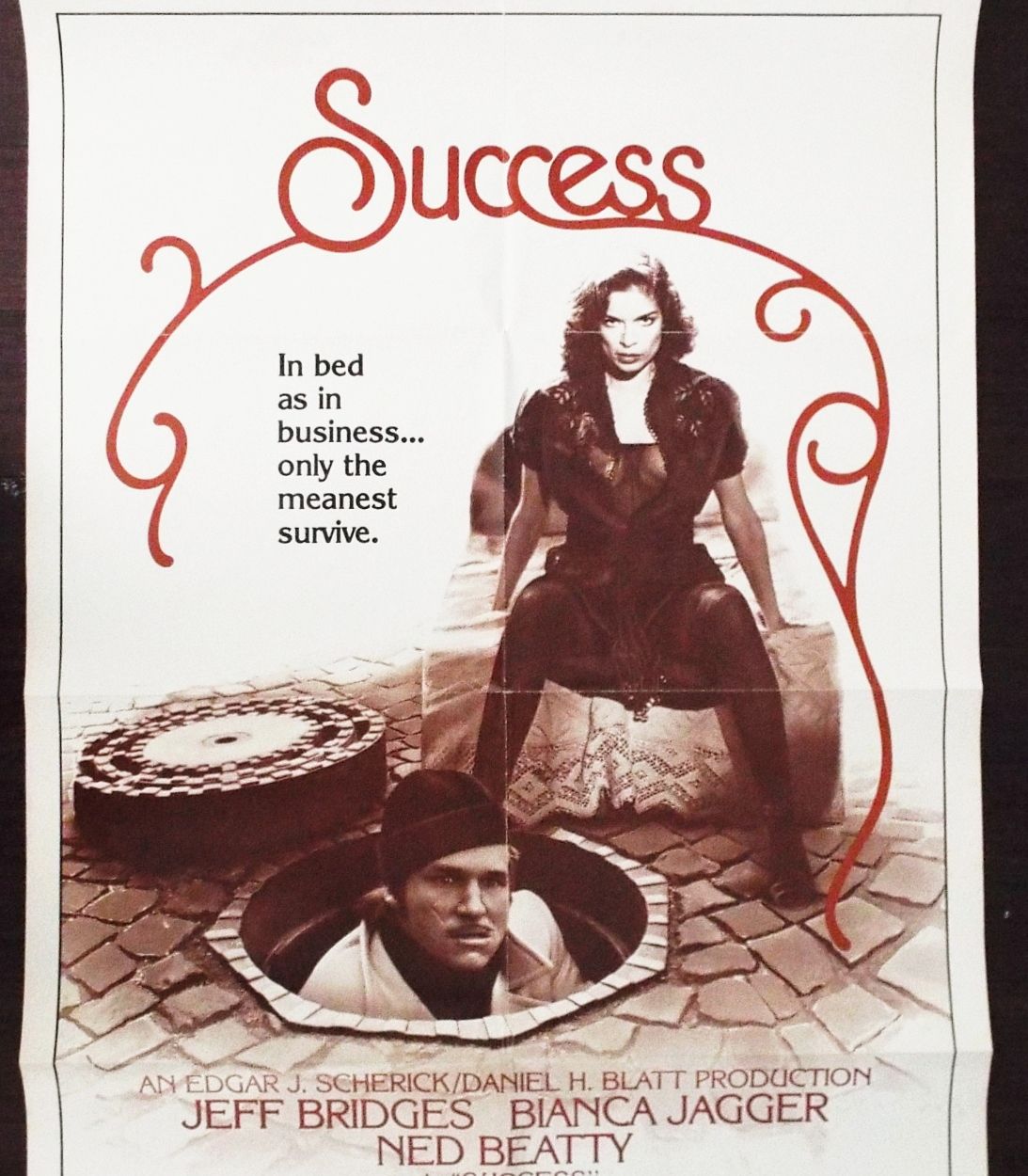 success 1981 poster TLDR vertical