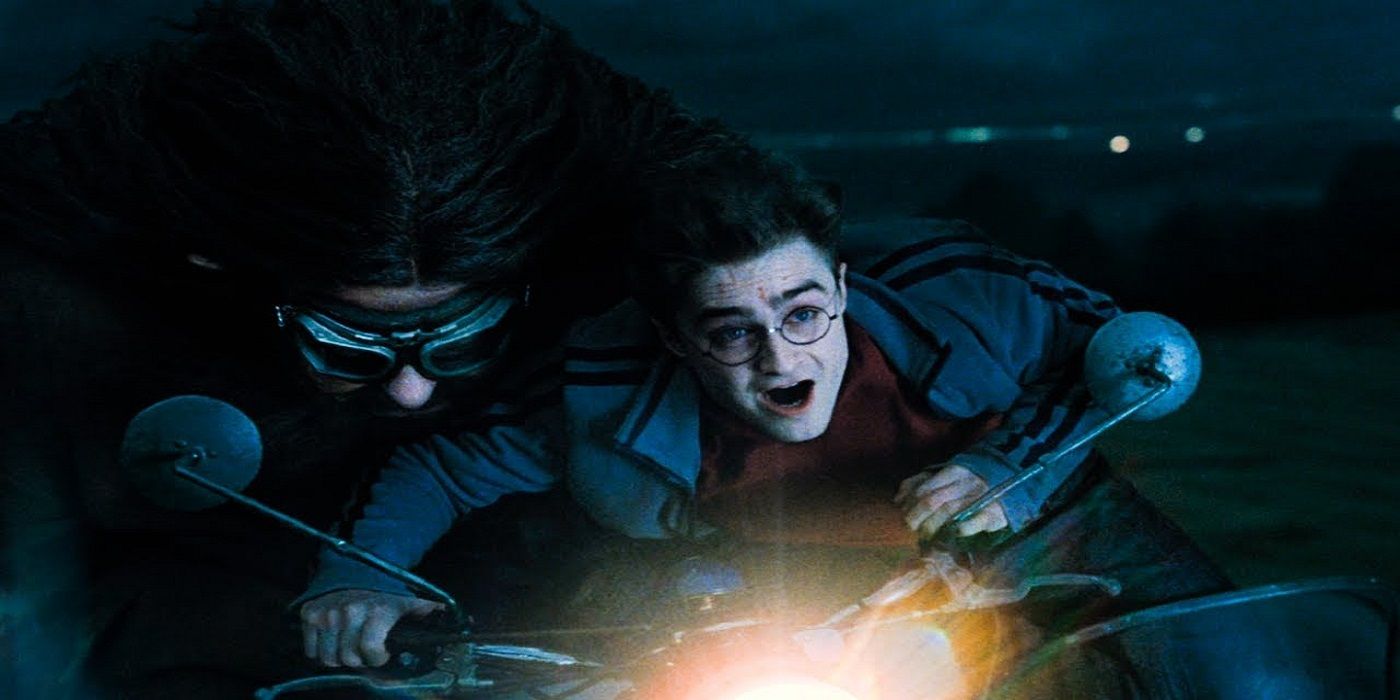 9- She Sacrificed Herself For Harry