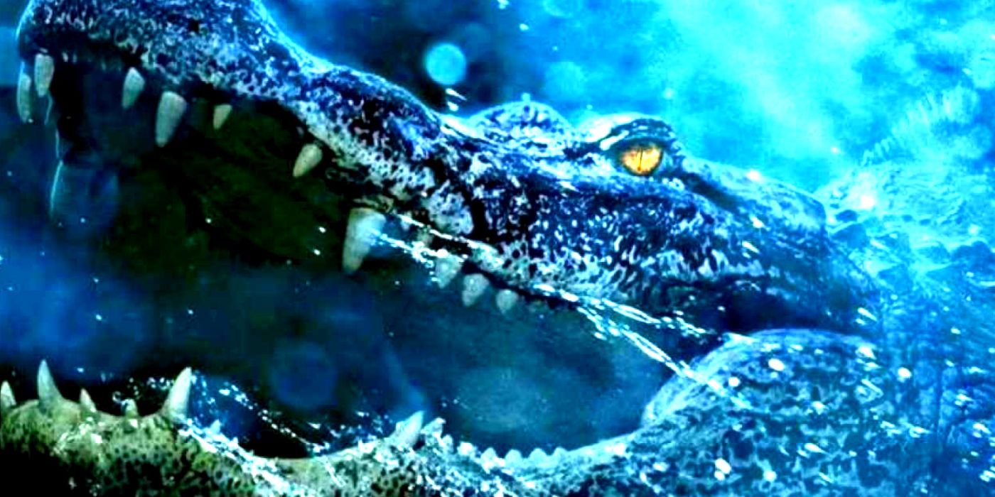 Alligator Close Up Crawl