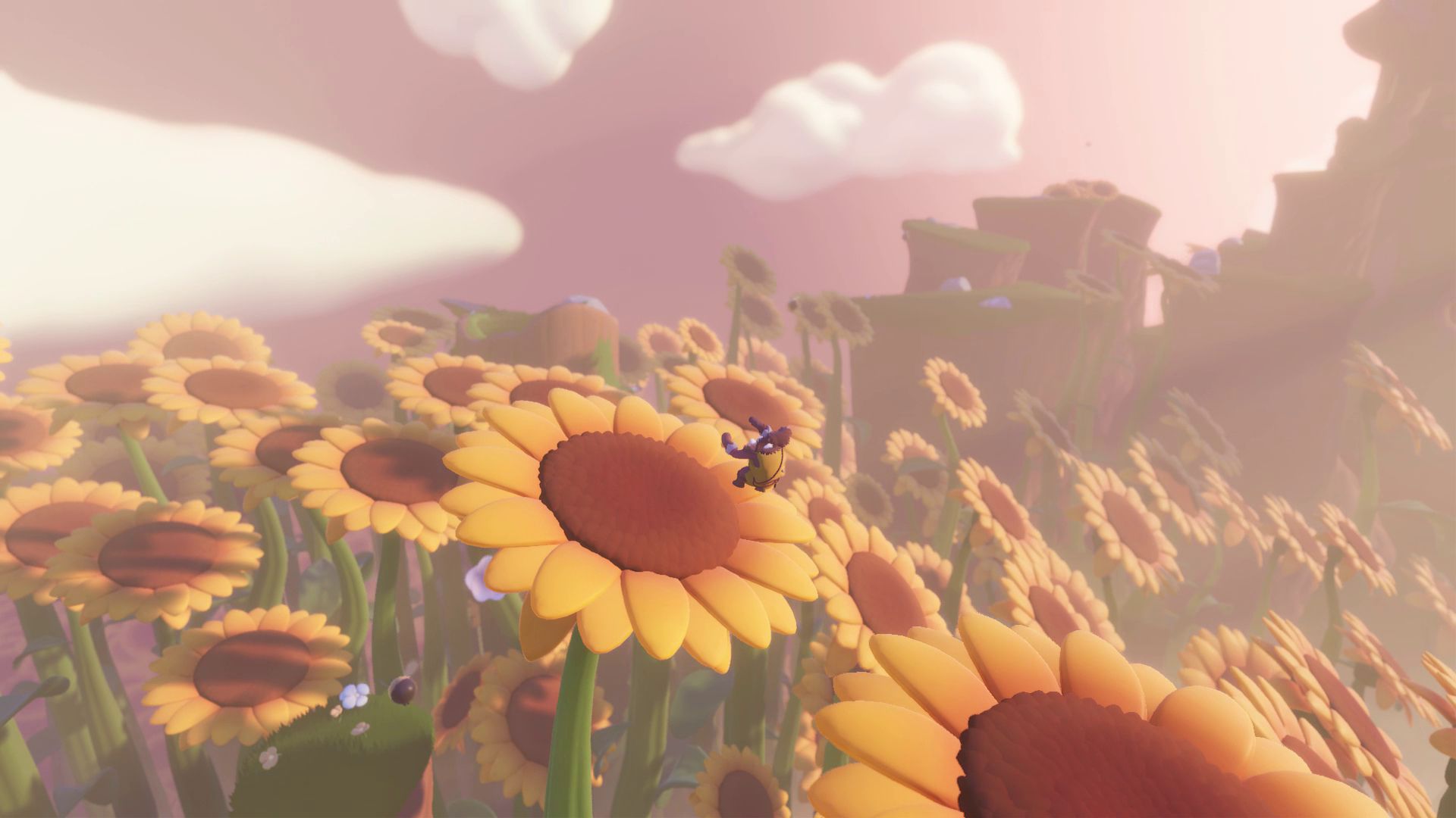 Arise A Simple Story Preview Sunflower Field