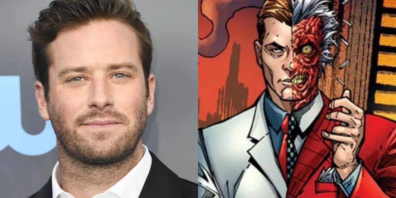 Armie Hammer as Harvey Dent