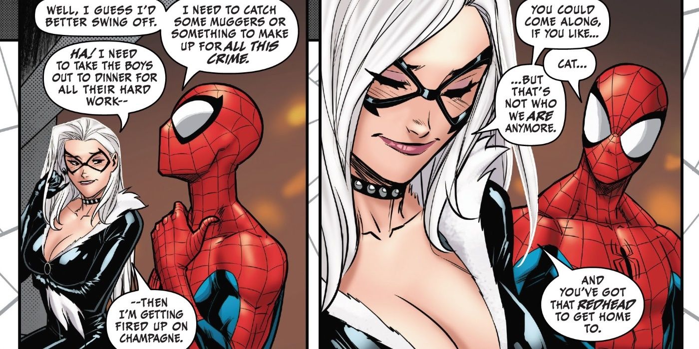 Black Cat and Spider-Man Flirting