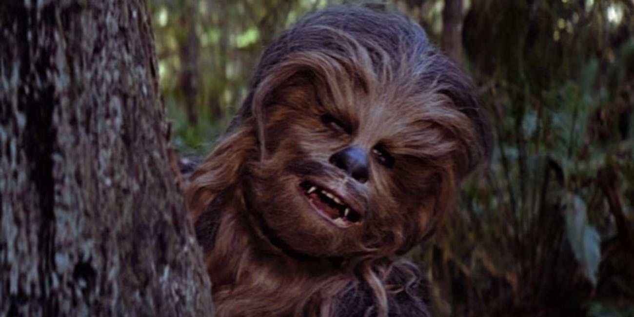 Chewbacca Star Wars
