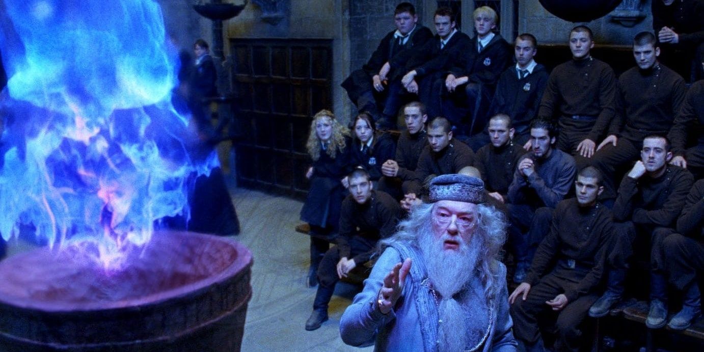 Dumbeldore Goblet Of Fire Cropped