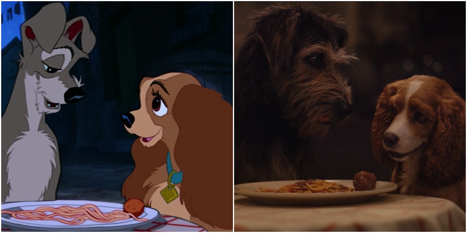Entry 1 - The Spaghetti Scene