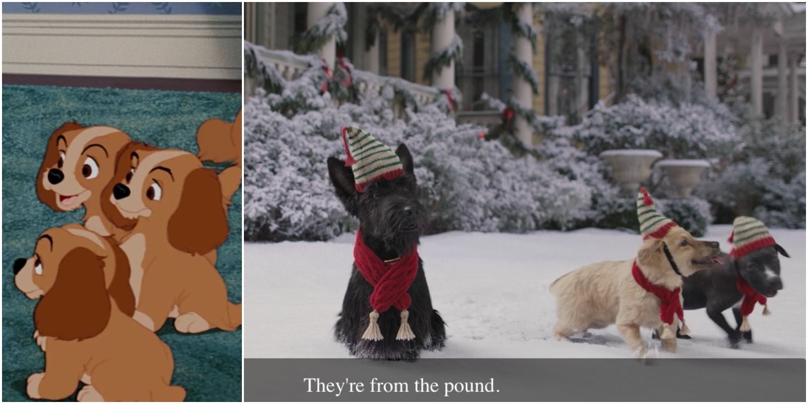 Scenes from both movies; puppies inside, puppies outside in snow