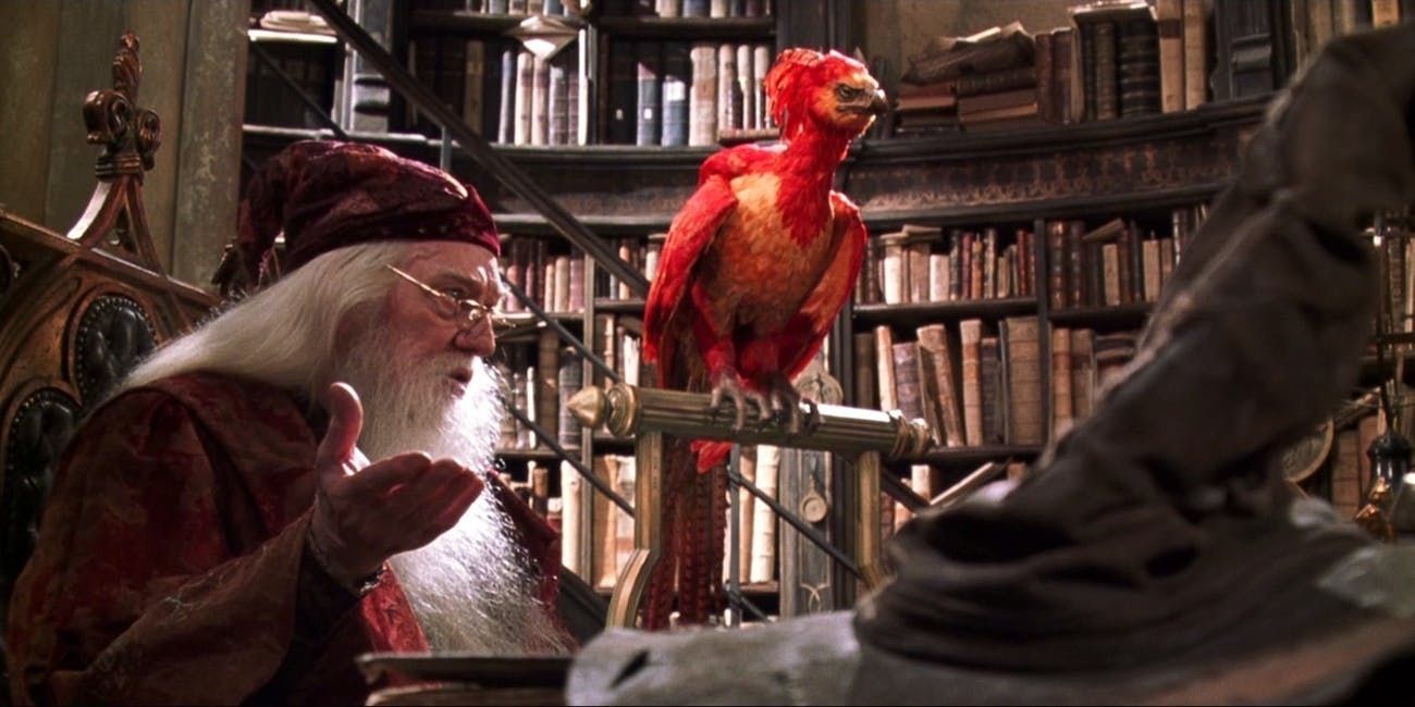 Dumbledore and Fawkes