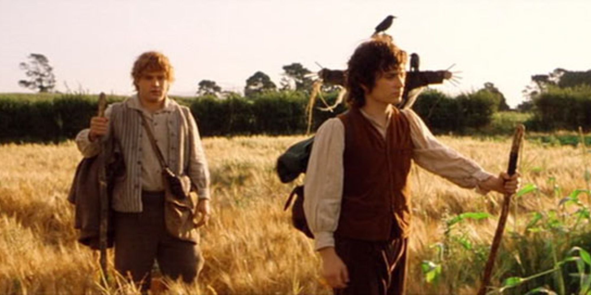 Frodo e Sam andando em O Senhor dos Anéis A Sociedade do Anel