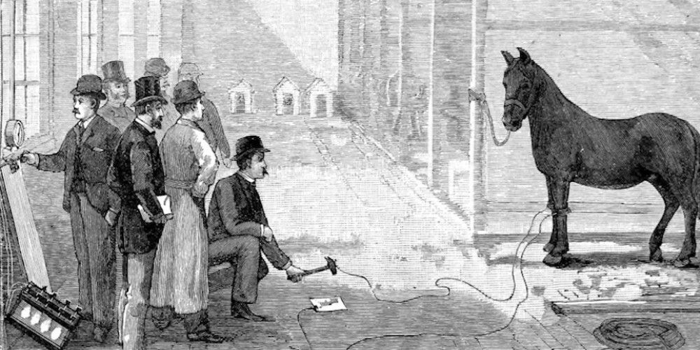 Harold-Brown-Thomas-Edison-Electrocutes-a-Horse - Edited