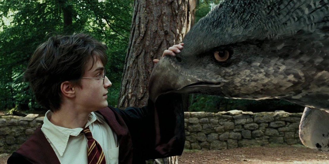Harry Potter meets Buckbeak the Hippogriff in Hagrid's class