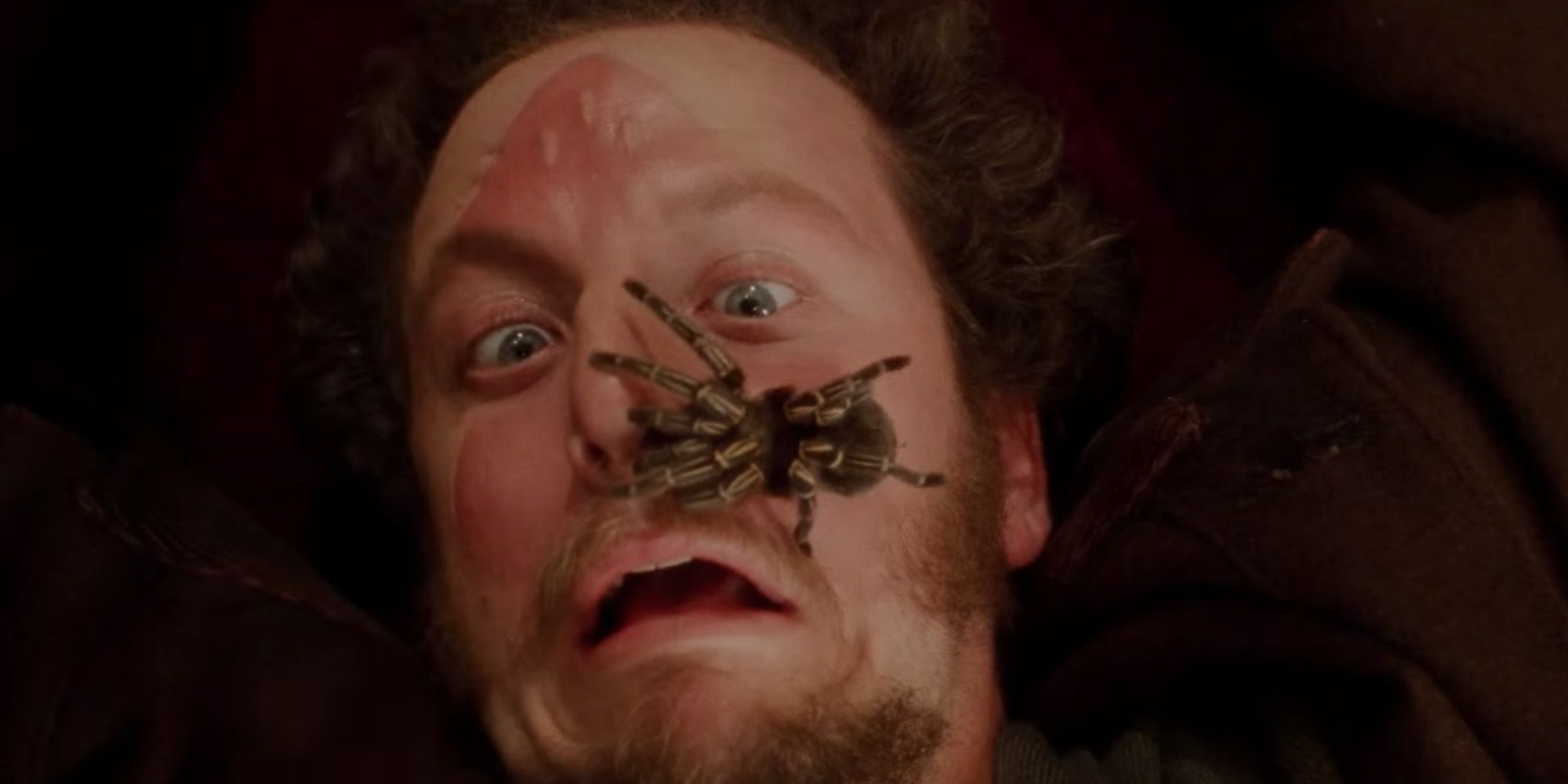 A tarantula crawls across Marv's face in Home Alone