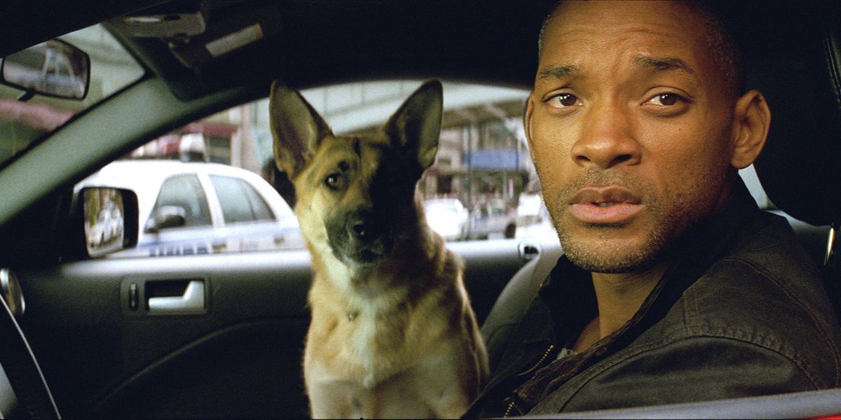 Will Smith with his dog in the car in I Am Legend
