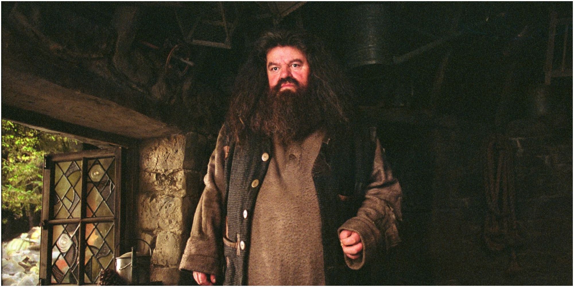 Hagrid standing in his hut in Harry Potter