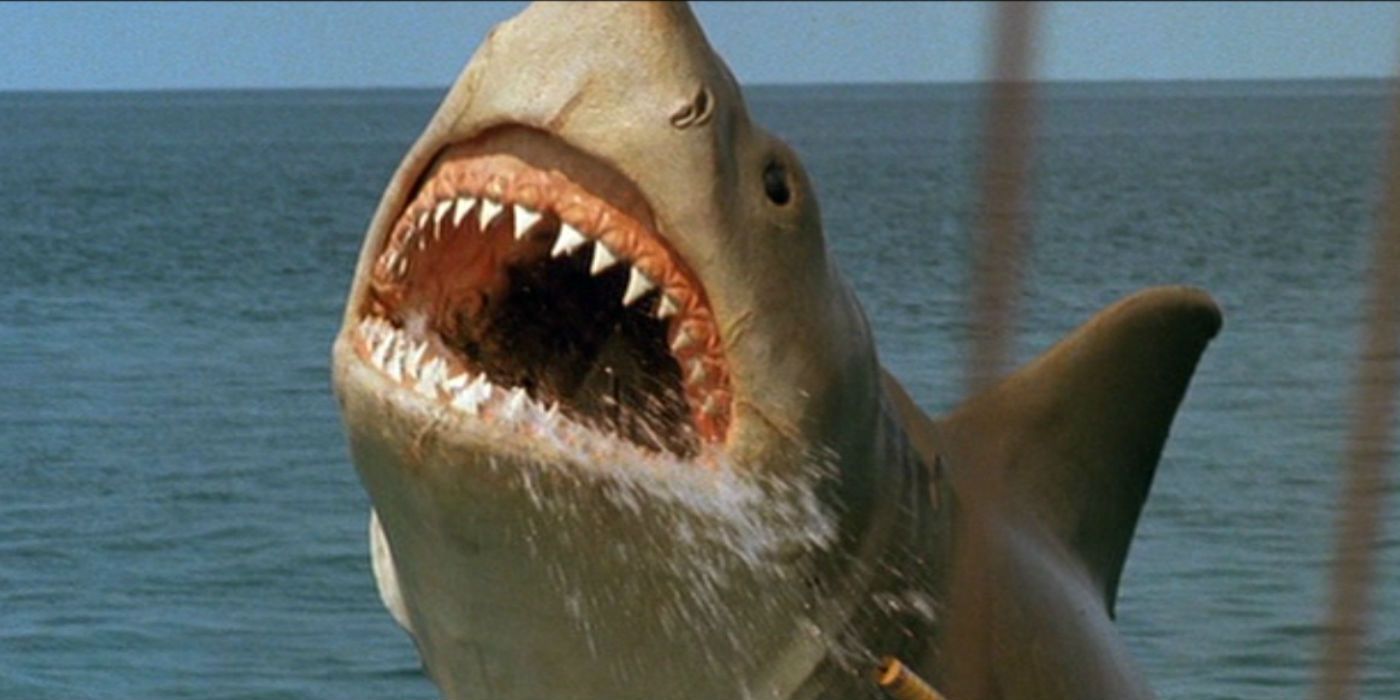 The shark roaring while leaping out of the water in Jaws The Revenge