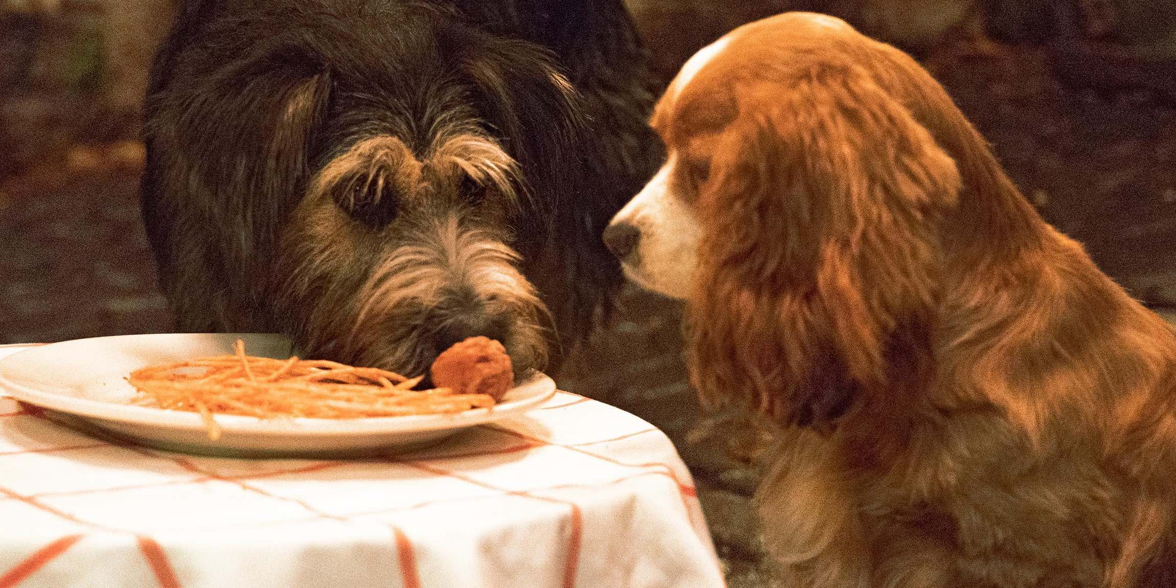 Lady & The Tramp 2019’s Biggest Changes To The Original