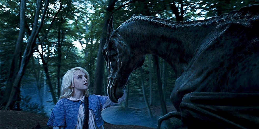 Luna and Thestral