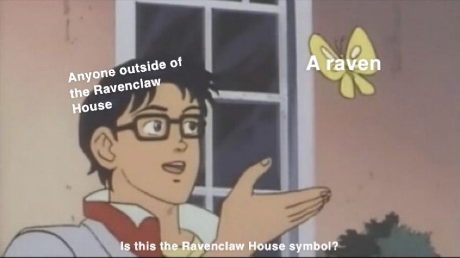 Harry Potter 10 Hilarious Memes Only A True Ravenclaw Would Understand