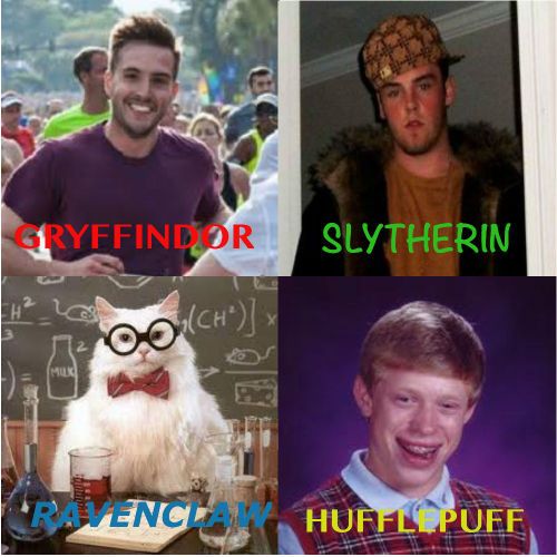 Ravenclaw Meme The Hogwarts Houses