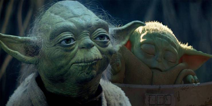 Star Wars Everything We Know About Yoda S Species Screen Rant Star Wars Everything We Know About Yoda S Species Screen Rant