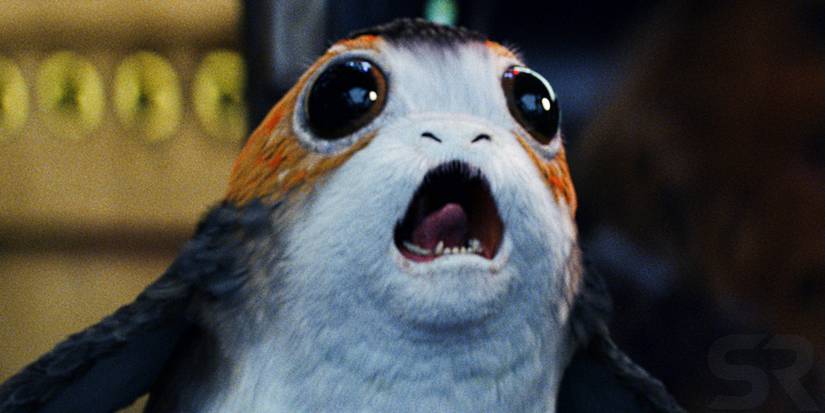 Star Wars: 10 Details About Porgs You Missed