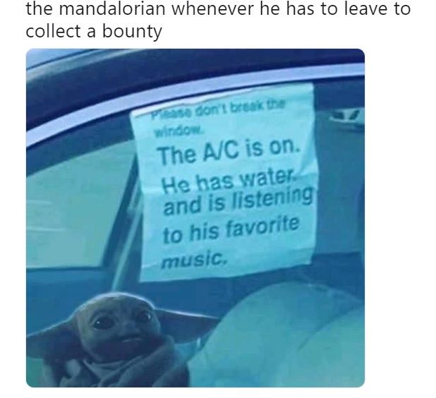 10 Cutest Baby Yoda Memes That We Can T Get Over Screenrant