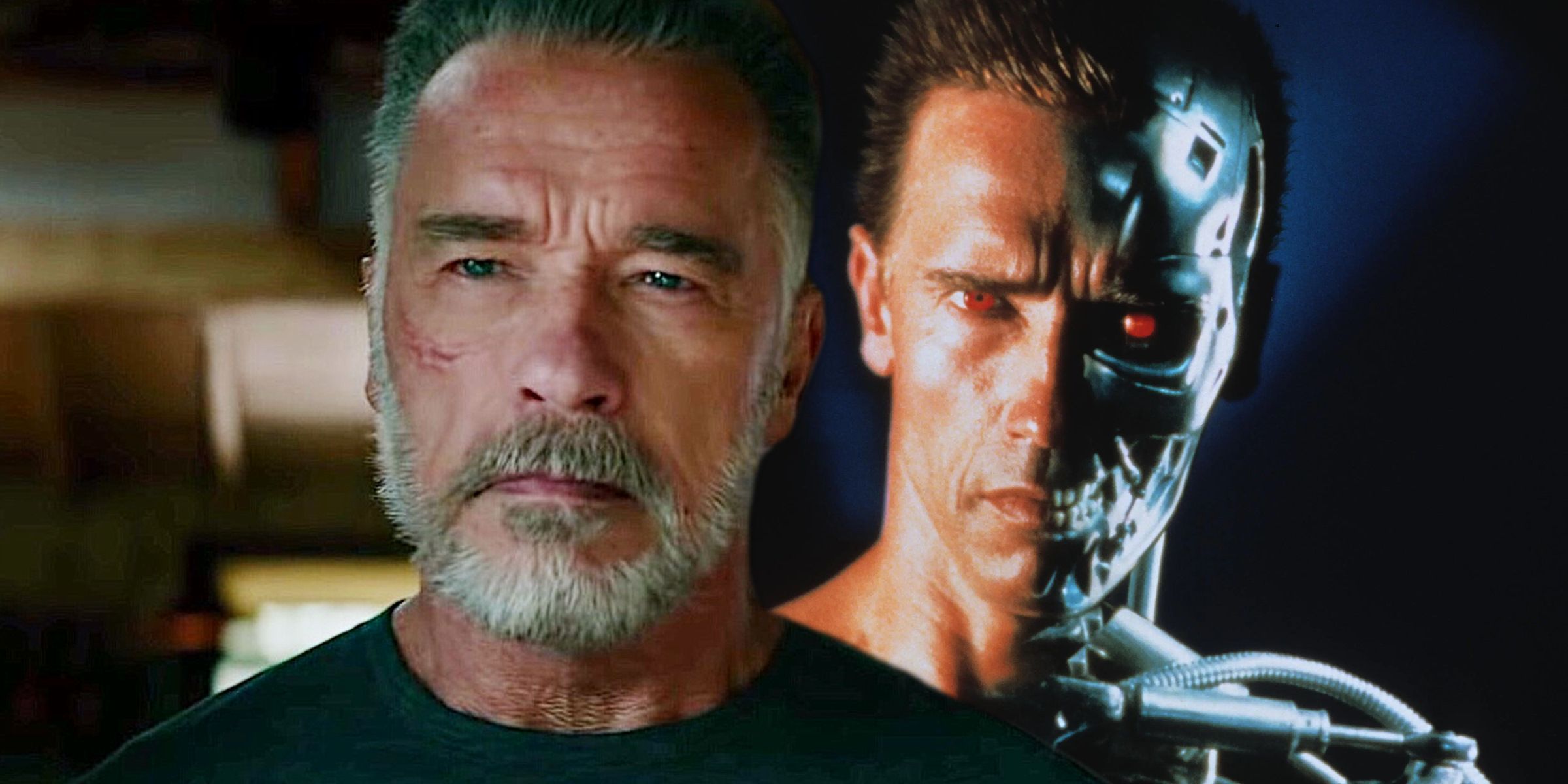 Terminator Old and Young Arnold