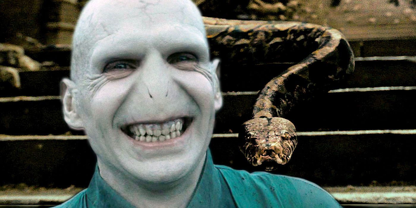 Voldemort Smiling