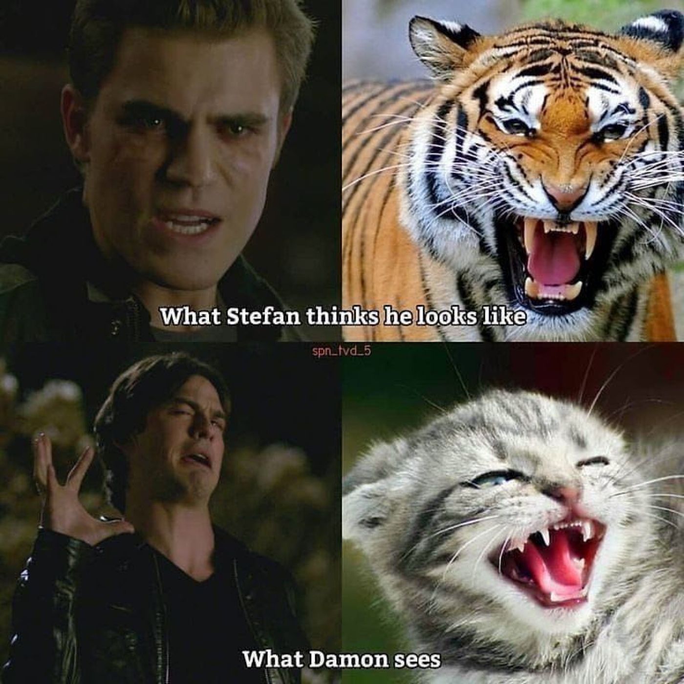 The Vampire Diaries 10 Hilarious Damon Memes That Only True Fans Will Understand