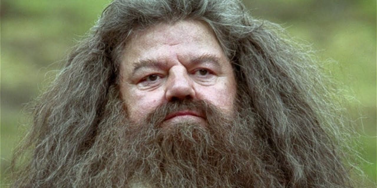 Rubeus Hagrid outside in Harry Potter