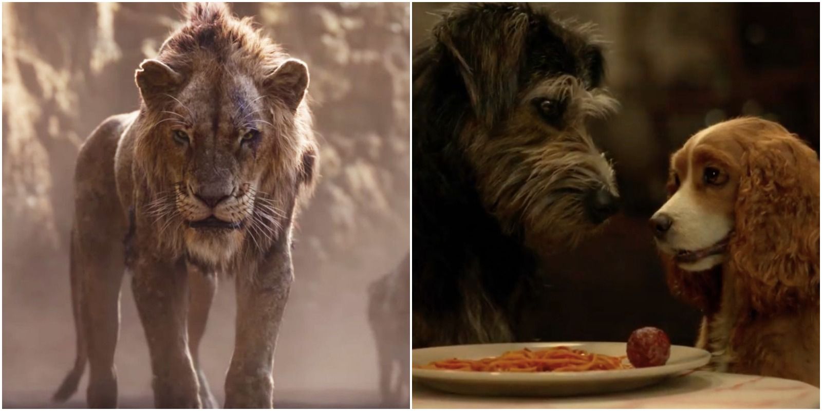 live action disney right wrong feature