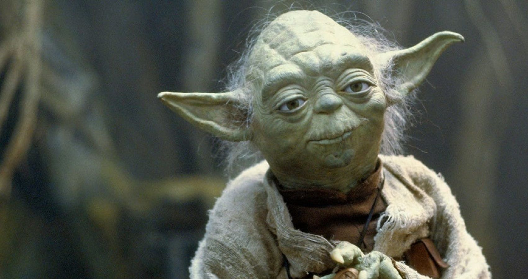 Neu Disney Store Star Wars das Erwachen der Macht Reden Yoda Echt Film Sprüchen 