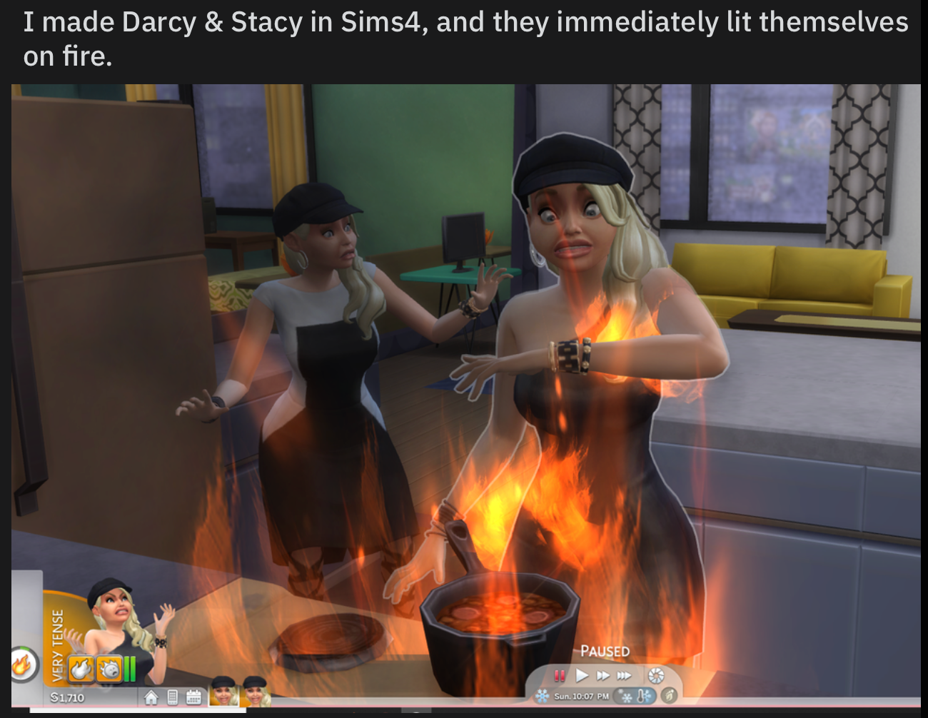 Darcey and Stacey of 90 Day Fiancé as Sims characters catch fire from a stove