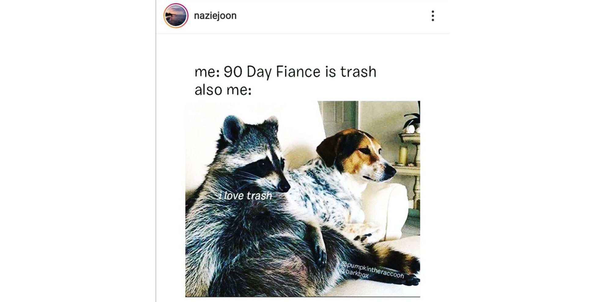 A raccoon and a dog sit side by side in a meme about 90 Day Fiance.