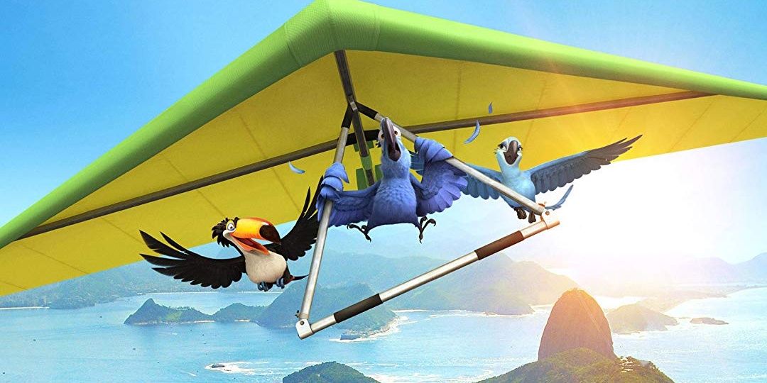 A bird learns to fly while over scenic Brazil, in Rio