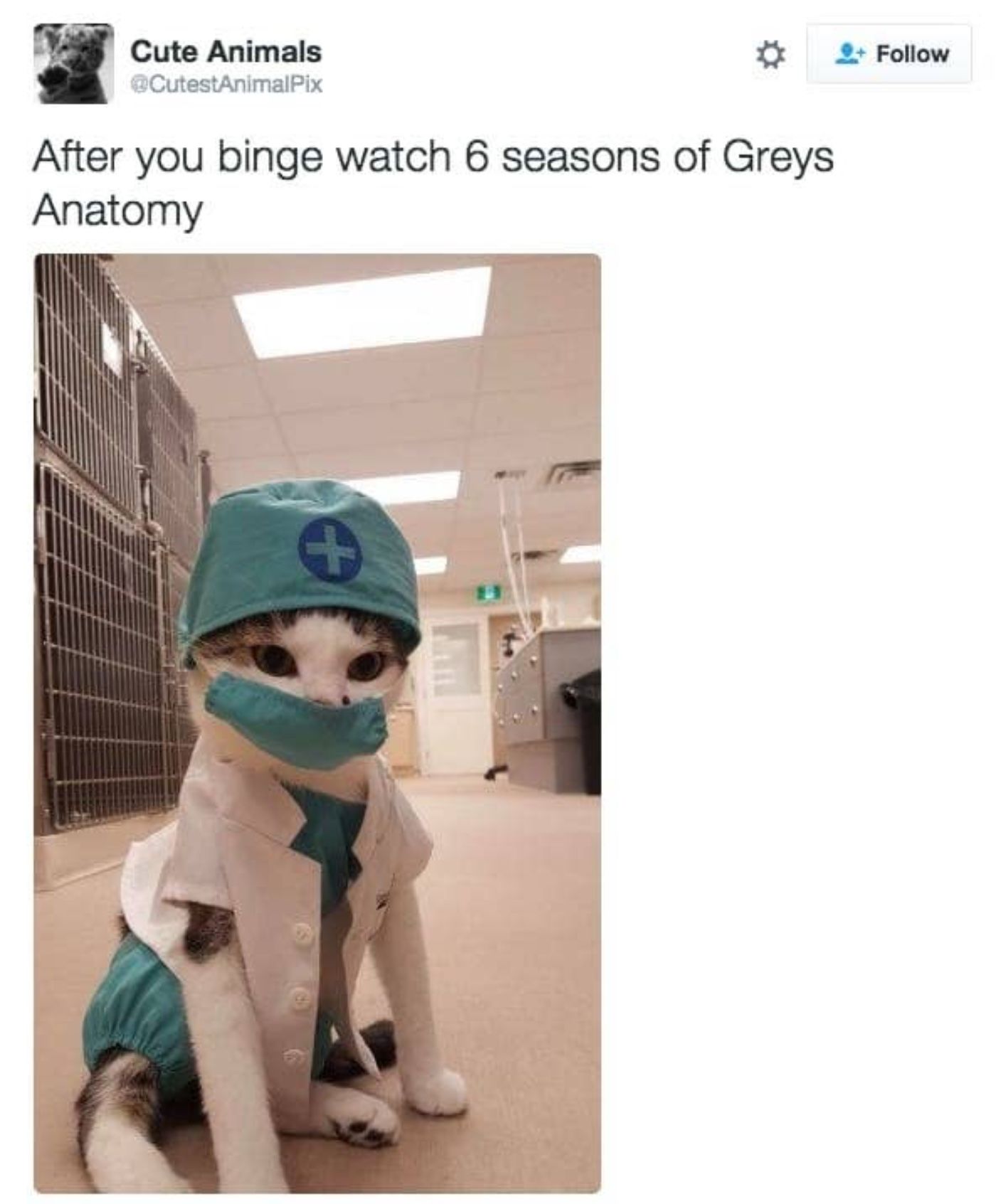 After binge watching Grey&rsquo;s Anatomy