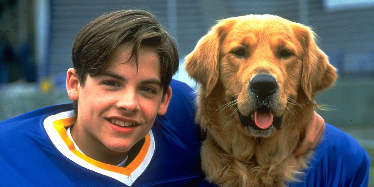 10 Best Golden Retriever Movies and TV Shows Featuring The Beloved Breed