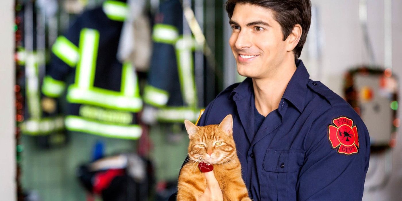 Brandon Routh holding a cat in Nine Lives of Christmas
