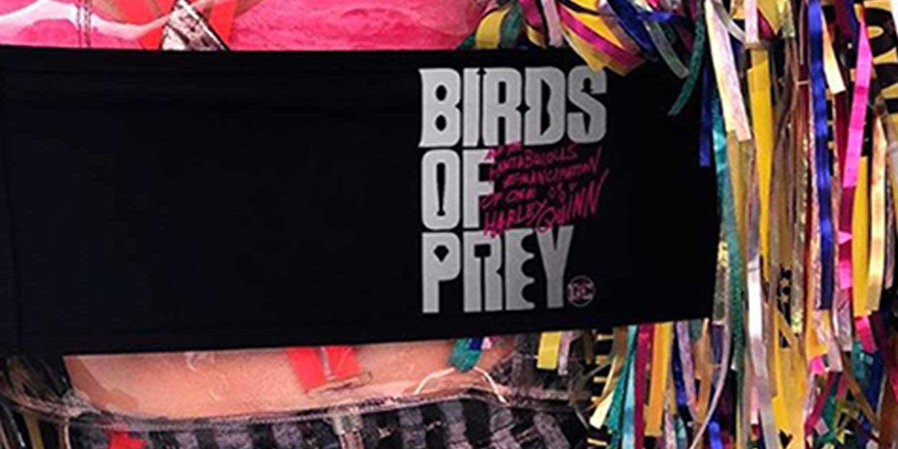 /wordpress/wp-content/uploads/2019/12/Birds-of-Prey-Photo-e1576682401149.jpg