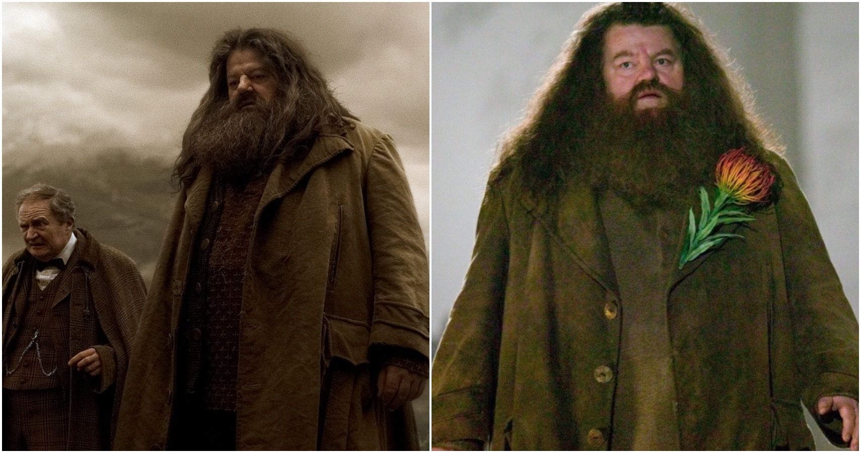 Harry Potter: 10 Hidden Details About Hagrid's Costume