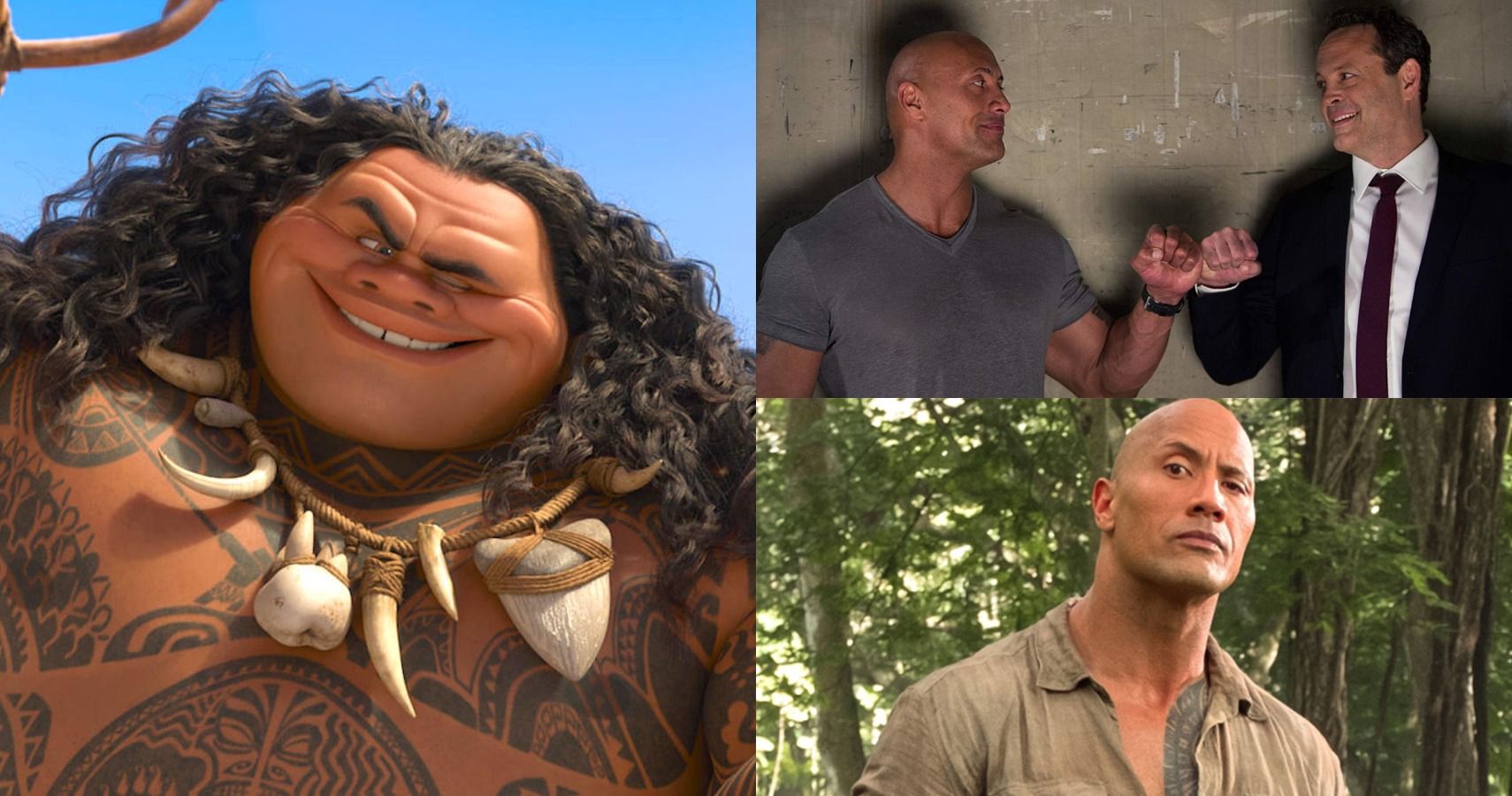 Top-10 Dwayne The Rock Johnson Movies 