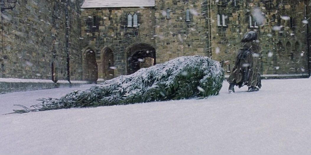 Harry Potter Hagrid Drags Christmas Tree through Snow