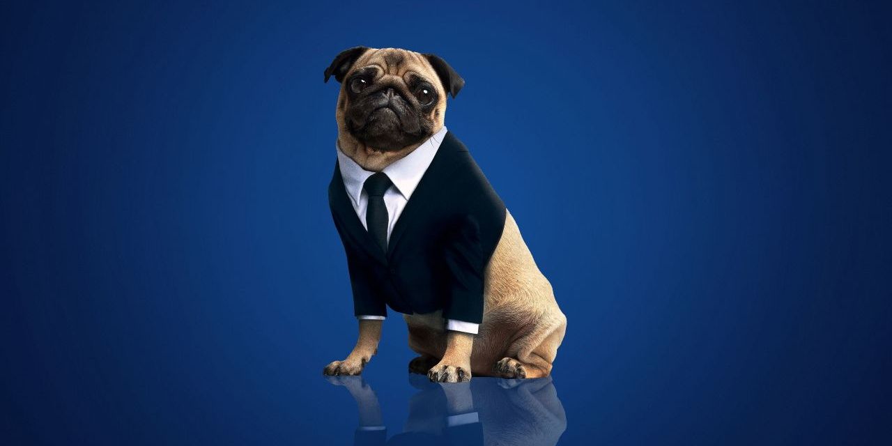 Frank the pug Cropped