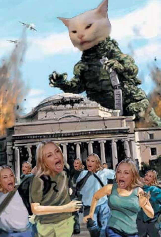 Godzilla Memes Entry 1