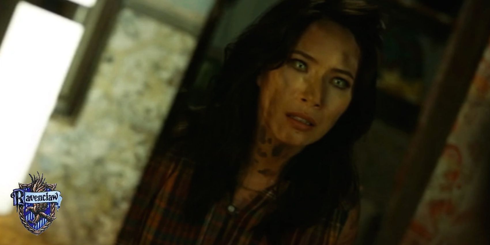 Black Lightning Sorting The Characters Into Their Hogwarts Houses