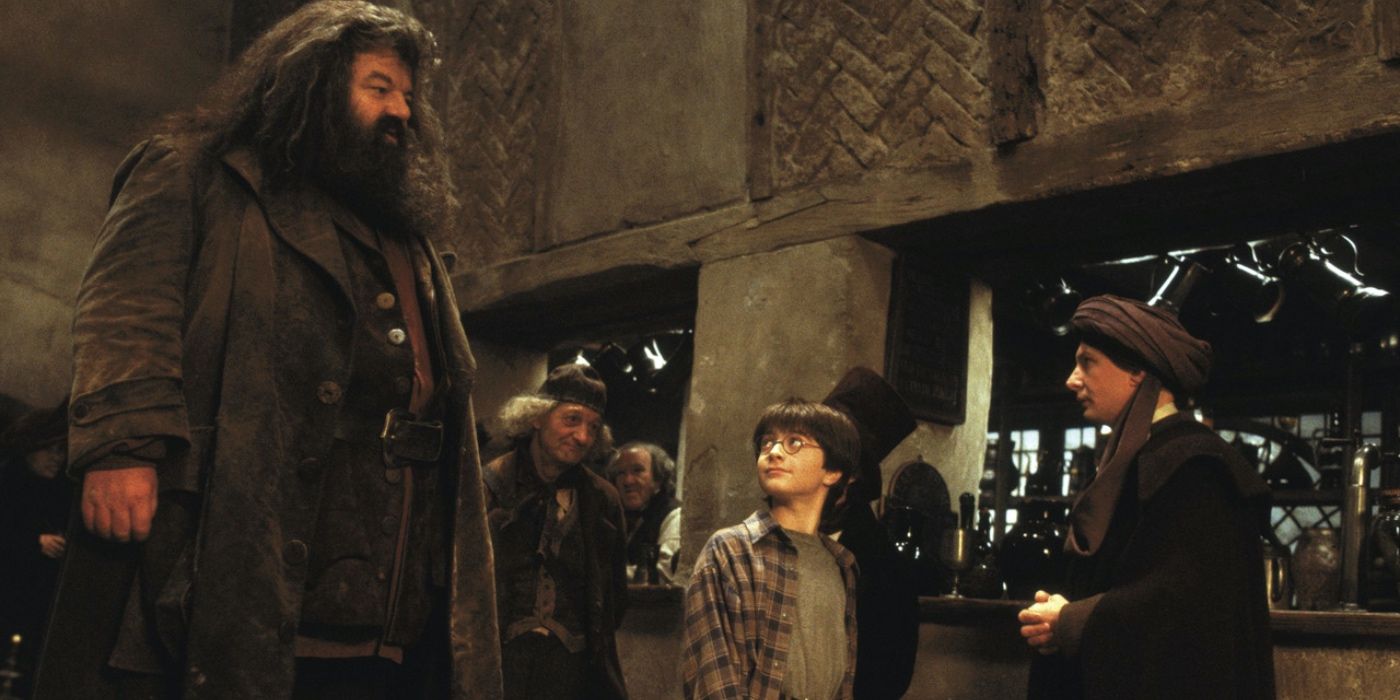 Harry Potter / Rubeus Hagrid Costume / Hermit Mage / Biblical /  Groundskeeper