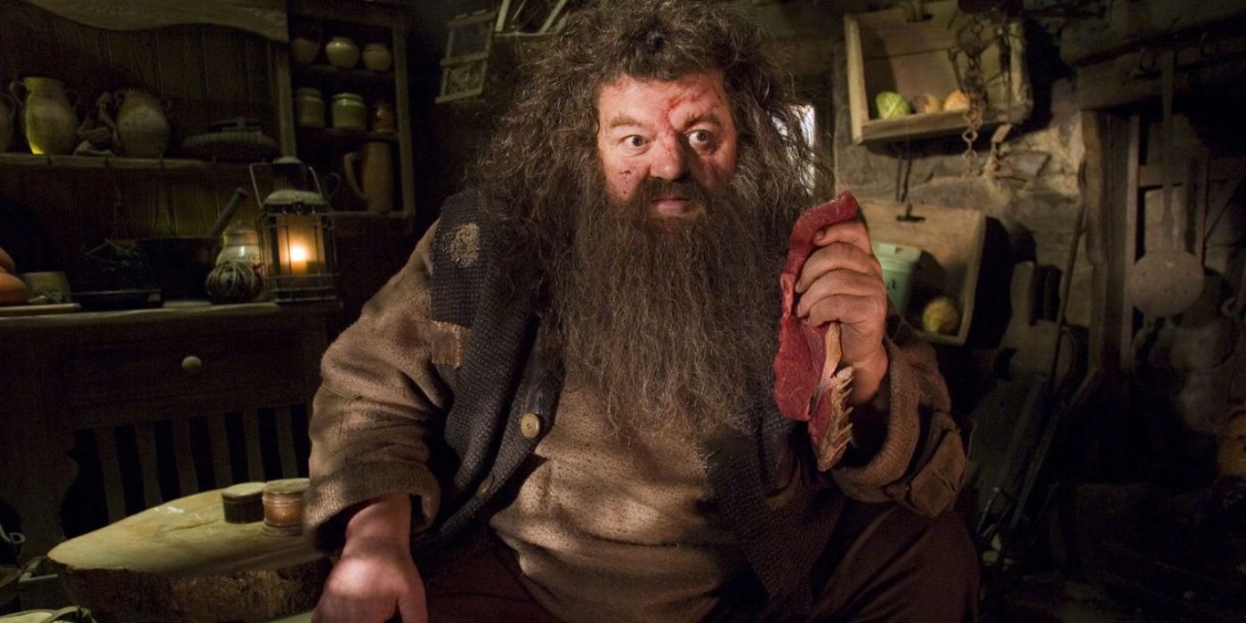 Hagrid holding a raw steak while sitting in his hut in Harry Potter