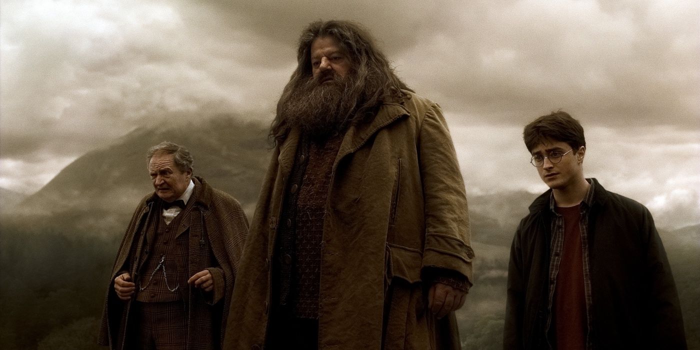 Harry Potter: 10 Hidden Details About Hagrid’s Costume