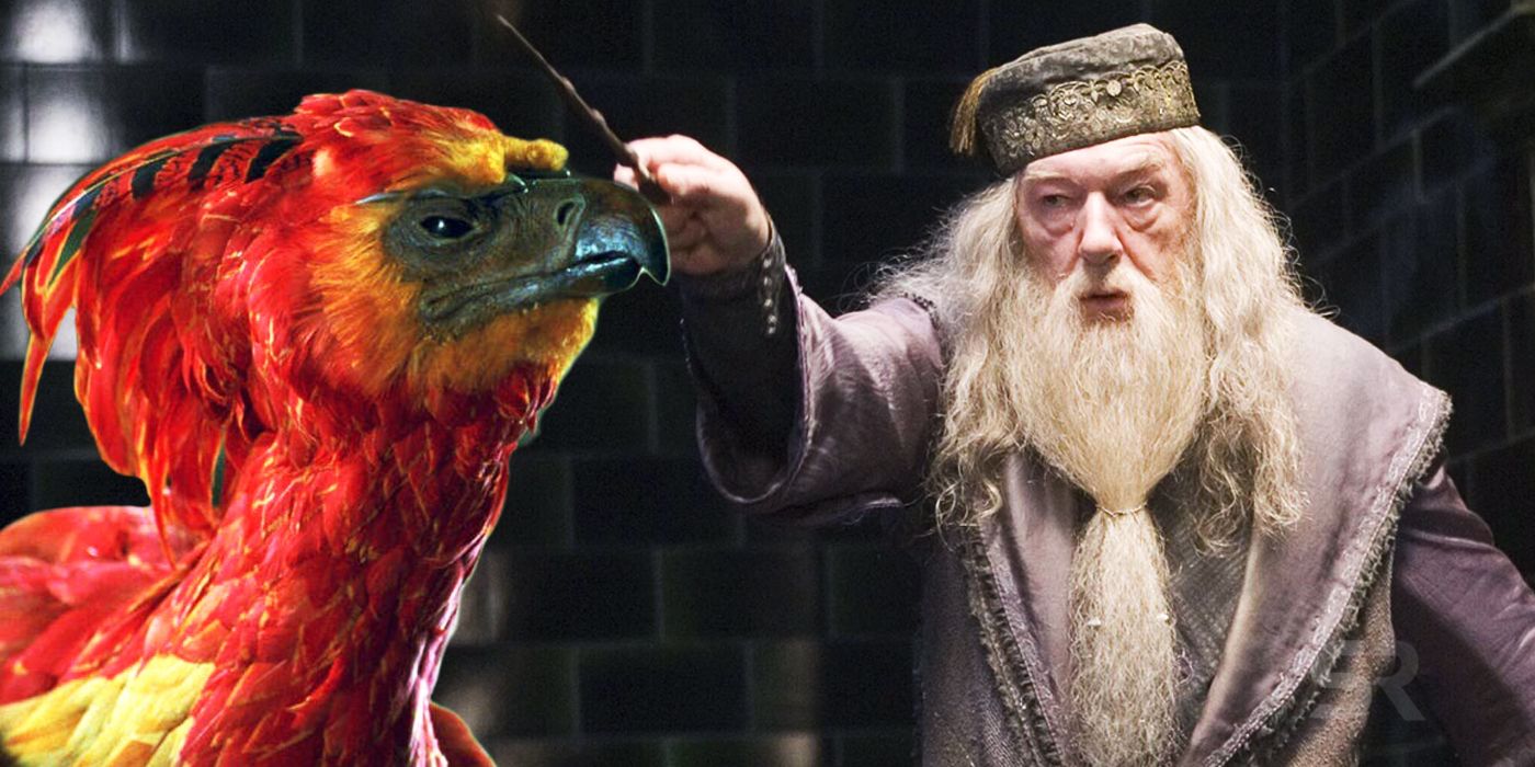 Harry Potter Dulmbledore Horcrux Explained