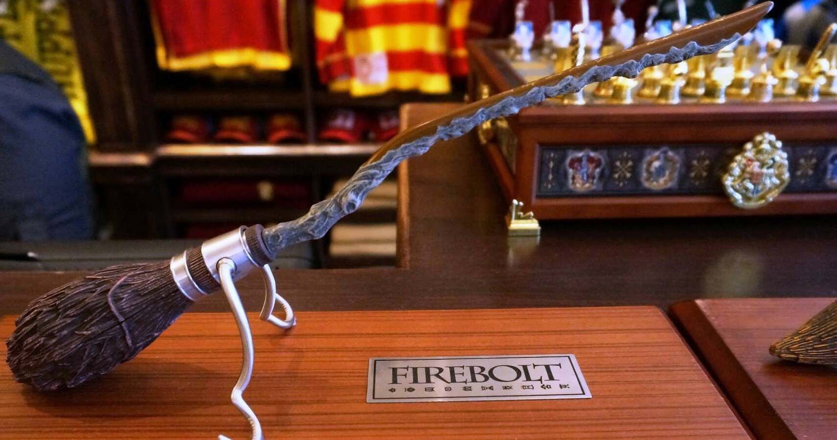 Harry Potter Firebolt (2)
